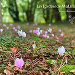 Pensionat Les Jardins De Malisa - Adulte Only -