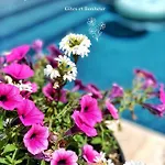 Les Jardins De Malisa - Adulte Only - Ferrieres-la-Verrerie