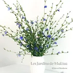 Les Jardins De Malisa - Adulte Only - Pensionat