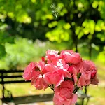 Pensionat Les Jardins De Malisa - Adulte Only - 4*