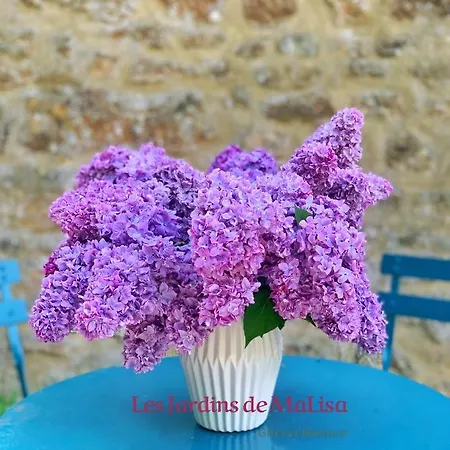 Les Jardins De Malisa - Adulte Only - Ferrieres-la-Verrerie