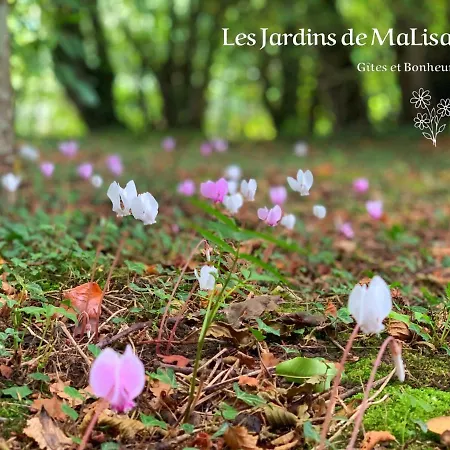 Gasthuis Les Jardins De Malisa - Adulte Only -