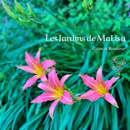 Konukevi Les Jardins De Malisa - Adulte Only - 4*