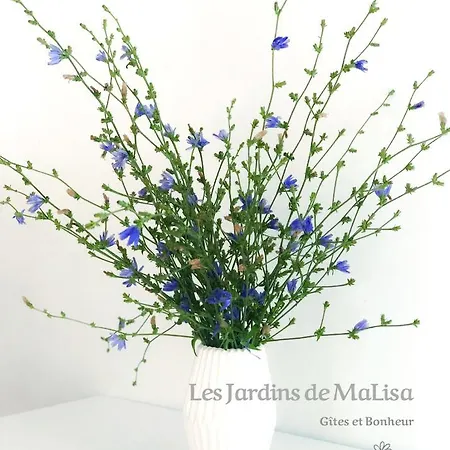 Les Jardins De Malisa - Adulte Only - Konukevi