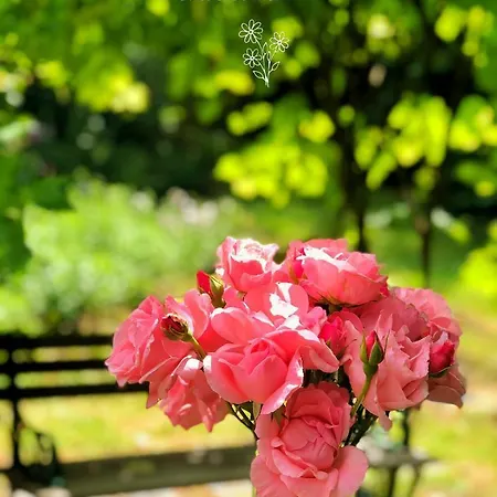 Konukevi Les Jardins De Malisa - Adulte Only - 4*
