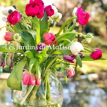 Konukevi Les Jardins De Malisa - Adulte Only -