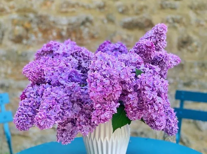 Les Jardins De Malisa - Adulte Only - Ferrieres-la-Verrerie