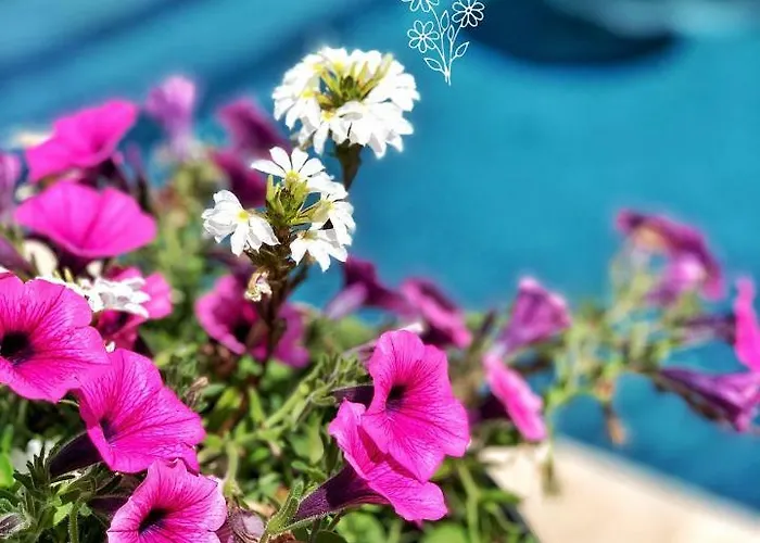 Les Jardins De Malisa - Adulte Only - Ferrieres-la-Verrerie