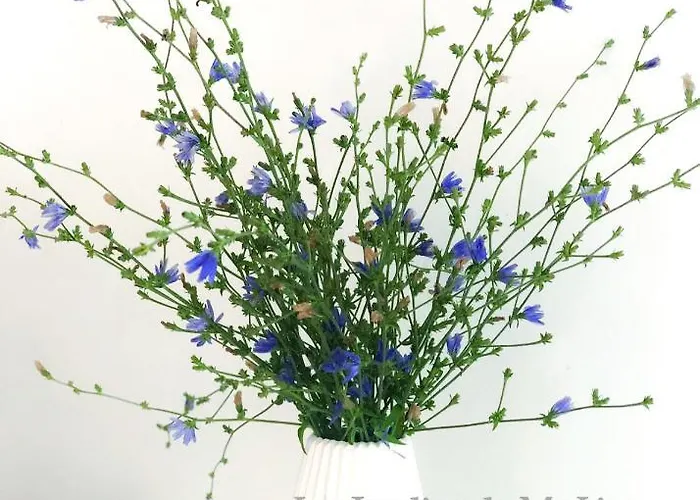 Les Jardins De Malisa - Adulte Only - Gasthuis