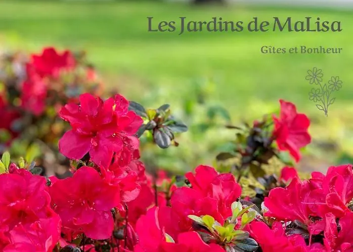 Les Jardins De Malisa - Adulte Only - Guest house