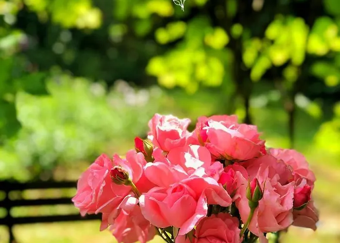 Gasthuis Les Jardins De Malisa - Adulte Only - 4*